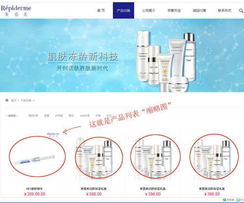 上海派網 一站式網站建設與SEO優化專家，助力企業在滬騰飛